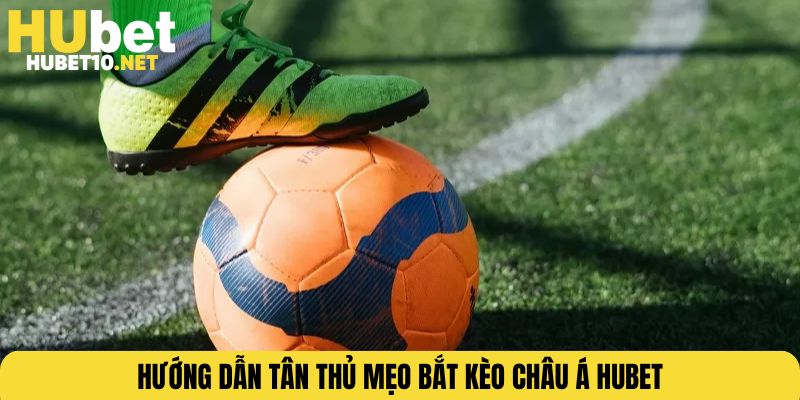 Hướng dẫn tân thủ mẹo bắt kèo châu Á HUBET